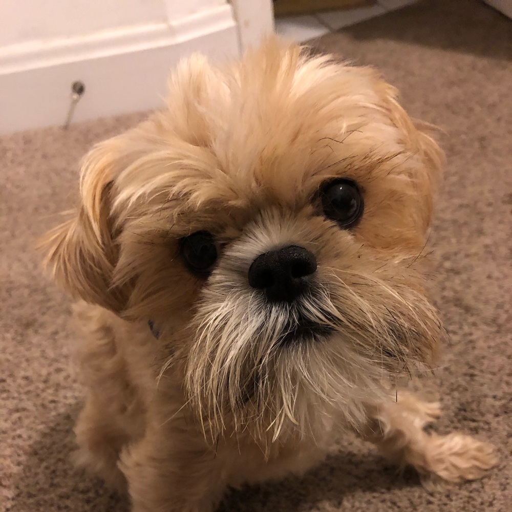 Meet your Posher, Vivian